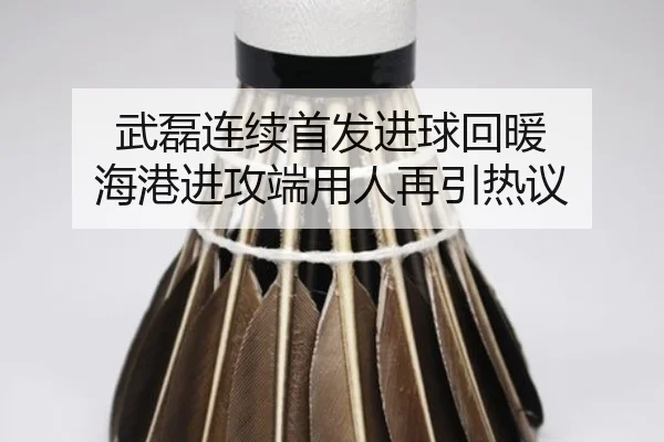 武磊连续首发进球回暖 海港进攻端用人再引热议
